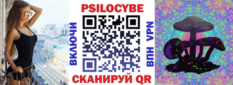 Галлюциногенные грибы Psilocybine cubensis Серпухов