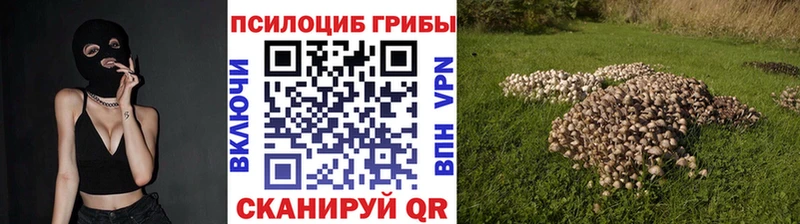 KRAKEN ONION  где продают наркотики  Серпухов  Галлюциногенные грибы Psilocybine cubensis 